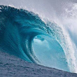 Meet your Posher, Greg